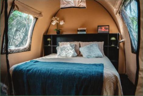 DOME 450